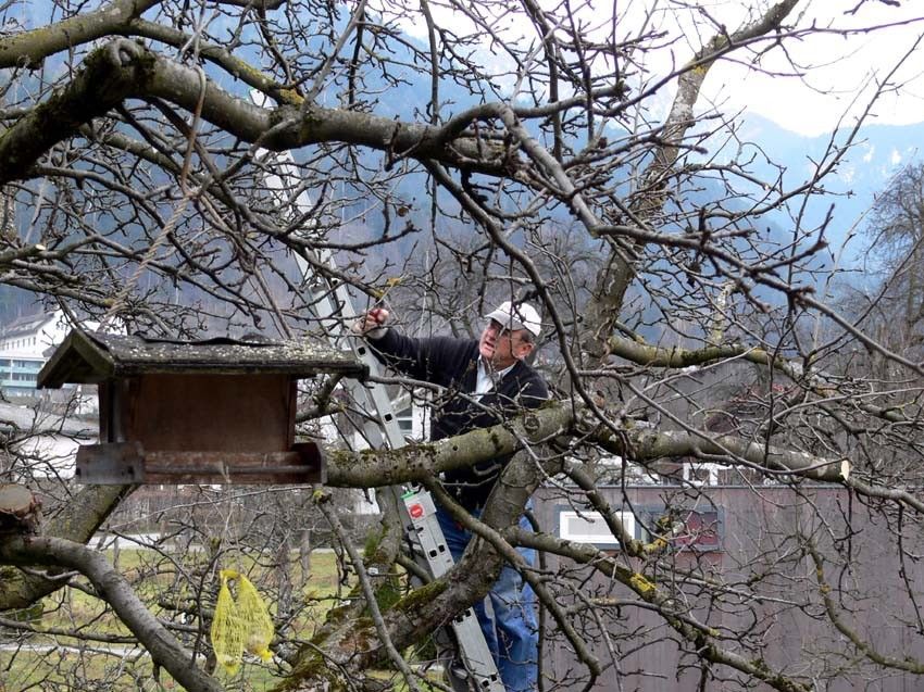 Winterschnittkurs Winterschnittkurs