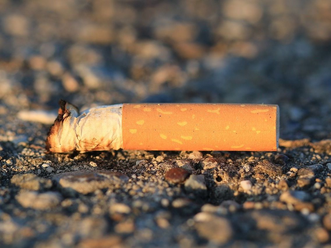 Wiener Müllsünder sollen tiefer in die Tasche greifen und höhere Strafen aufgebrummt bekommen. Wiener Müllsünder sollen tiefer in die Tasche greifen und höhere Strafen aufgebrummt bekommen.