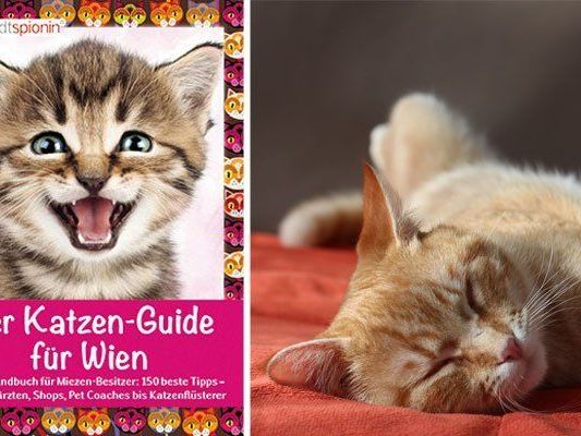 Ein neuer Guide vereint alles, was Katzen-Fans in Wien wissen wollen Ein neuer Guide vereint alles, was Katzen-Fans in Wien wissen wollen