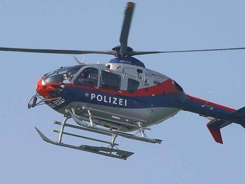 Hatte sich in freiem Gelände verirrt Hatte sich in freiem Gelände verirrt