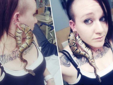 "Bart" steckte fest. "Bart" steckte fest.