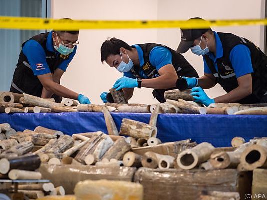 Ein Mann aus Gambia wurde festgenommen Ein Mann aus Gambia wurde festgenommen