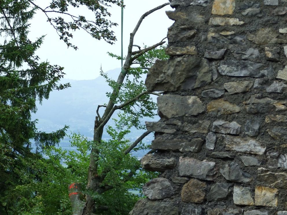Abenteuer Österreich zeigt die Arbeiten der Baumfäller am Schlossberg und auf Schloss Glopper Abenteuer Österreich zeigt die Arbeiten der Baumfäller am Schlossberg und auf Schloss Glopper