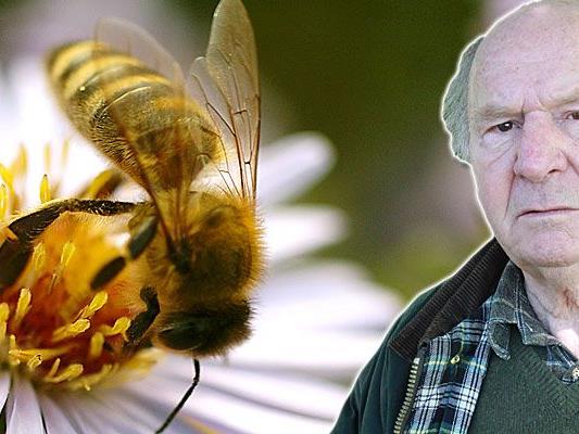 Imker-Obmann Egon Gmeiner geht von 5000 toten Bienen­völkern aus.