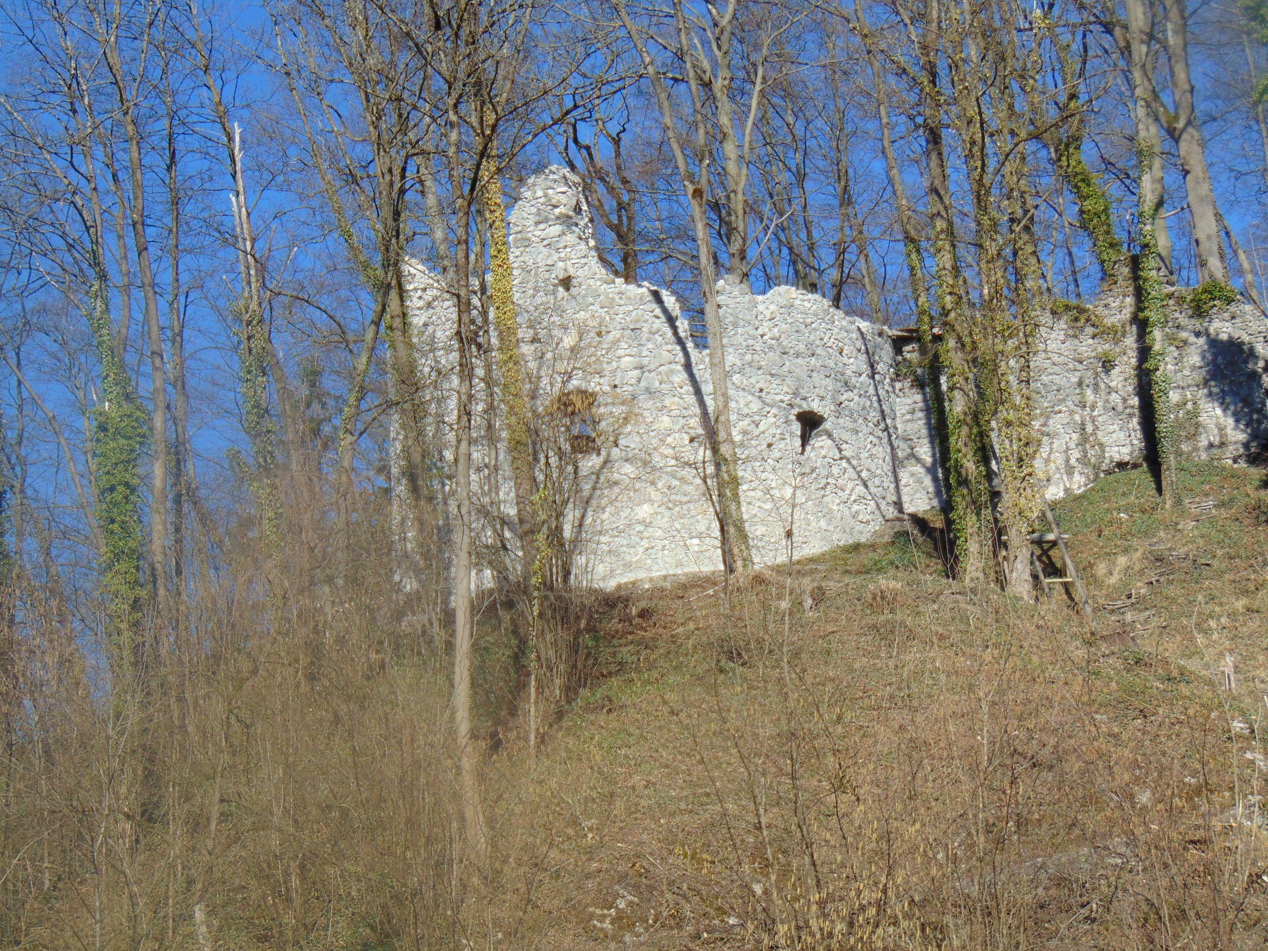 Am Schlosshügel rund um die Burgruine Neuburg wurde im Winter fleißig gearbeitet