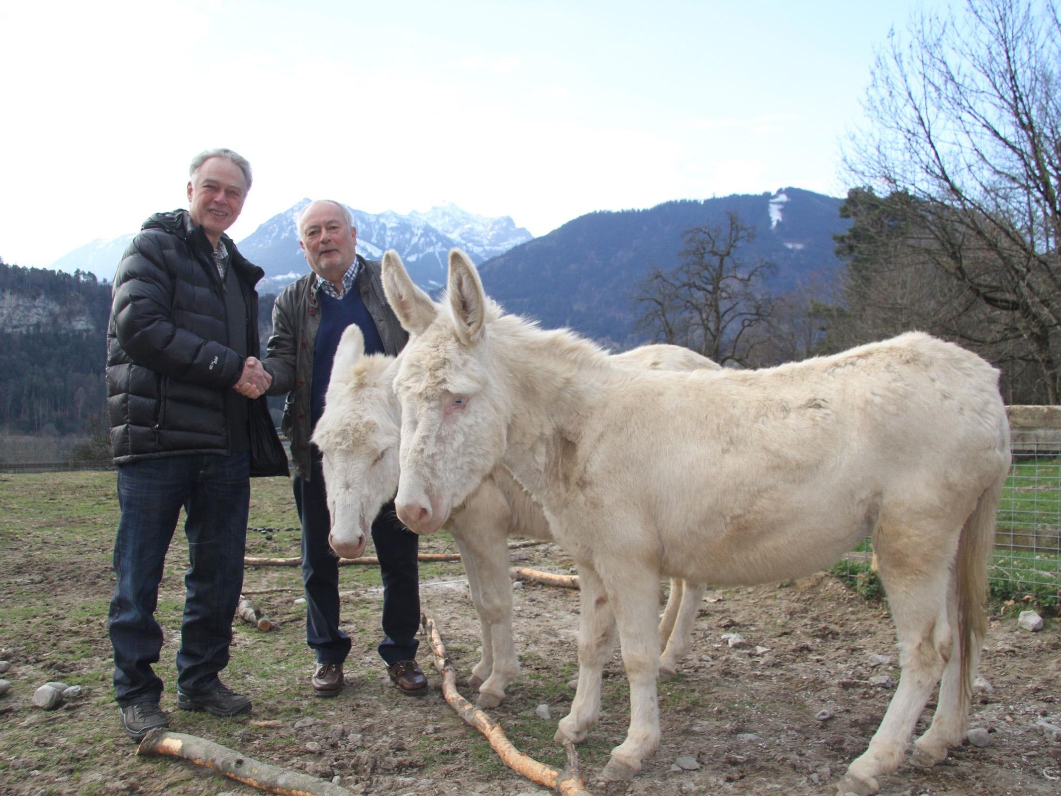 Dr. Walter Hartmann aus Vaduz übernahm wieder die Patenschaft für die neue Eselstute „Sissy“ und unterstützt den WP auch bei der Erweiterung beim Eselgehege. Im Bild mit WP Chef Wolfgang Burtscher.