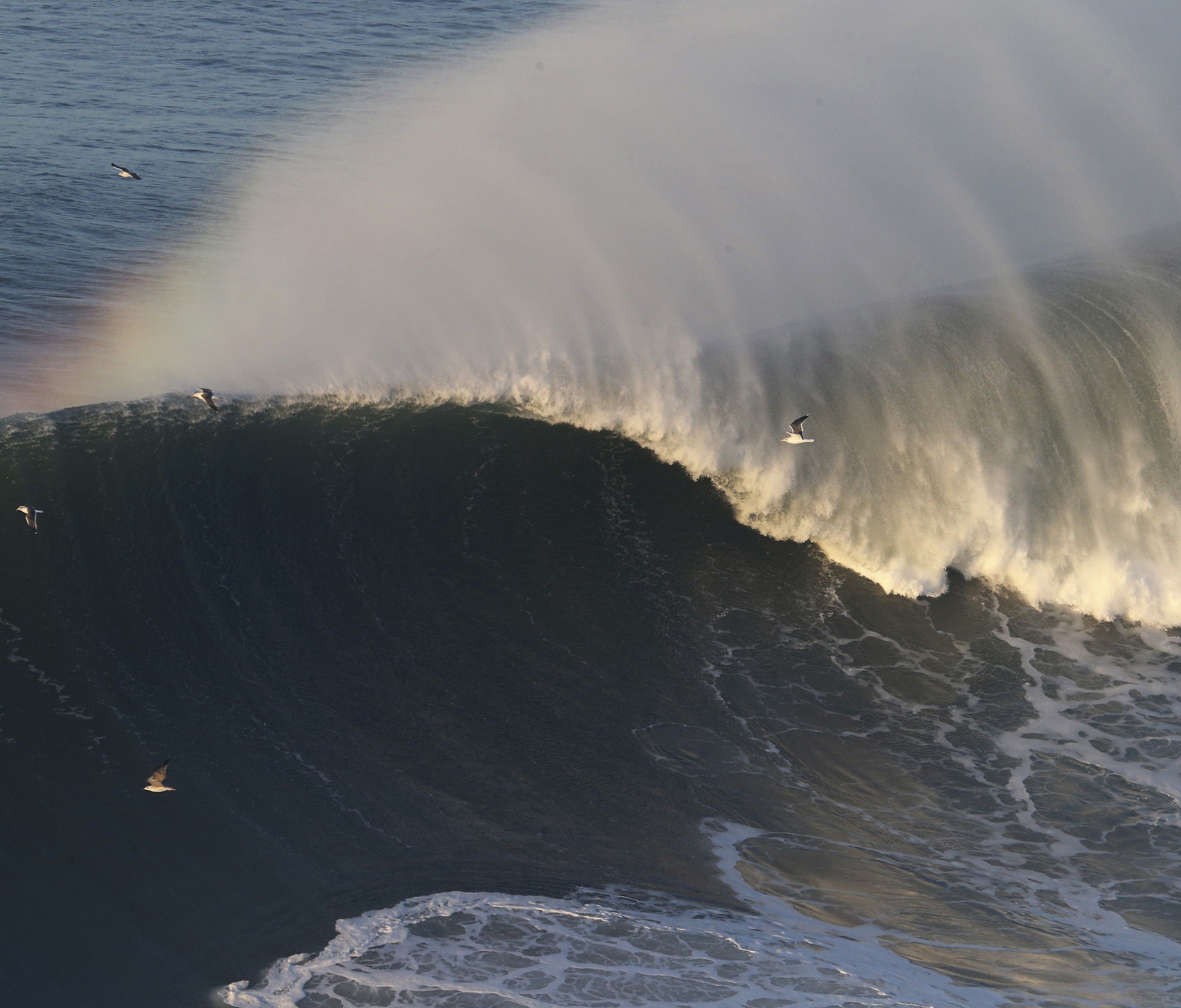 Weltweit suchen Adrenalinjunkies nach den größten Wellen. Weltweit suchen Adrenalinjunkies nach den größten Wellen.