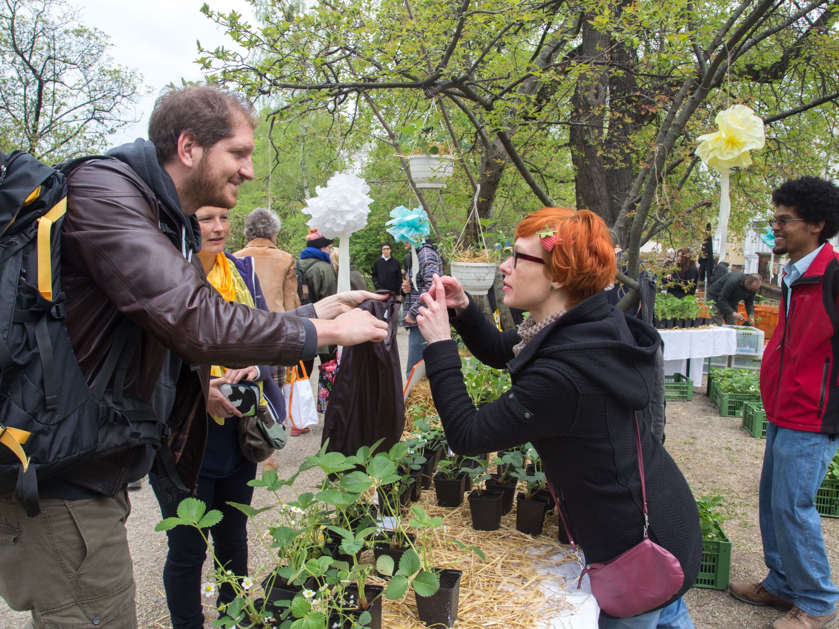Exotisches erstehen bei der Rariätenbörse des Botanischer Gartens Exotisches erstehen bei der Rariätenbörse des Botanischer Gartens