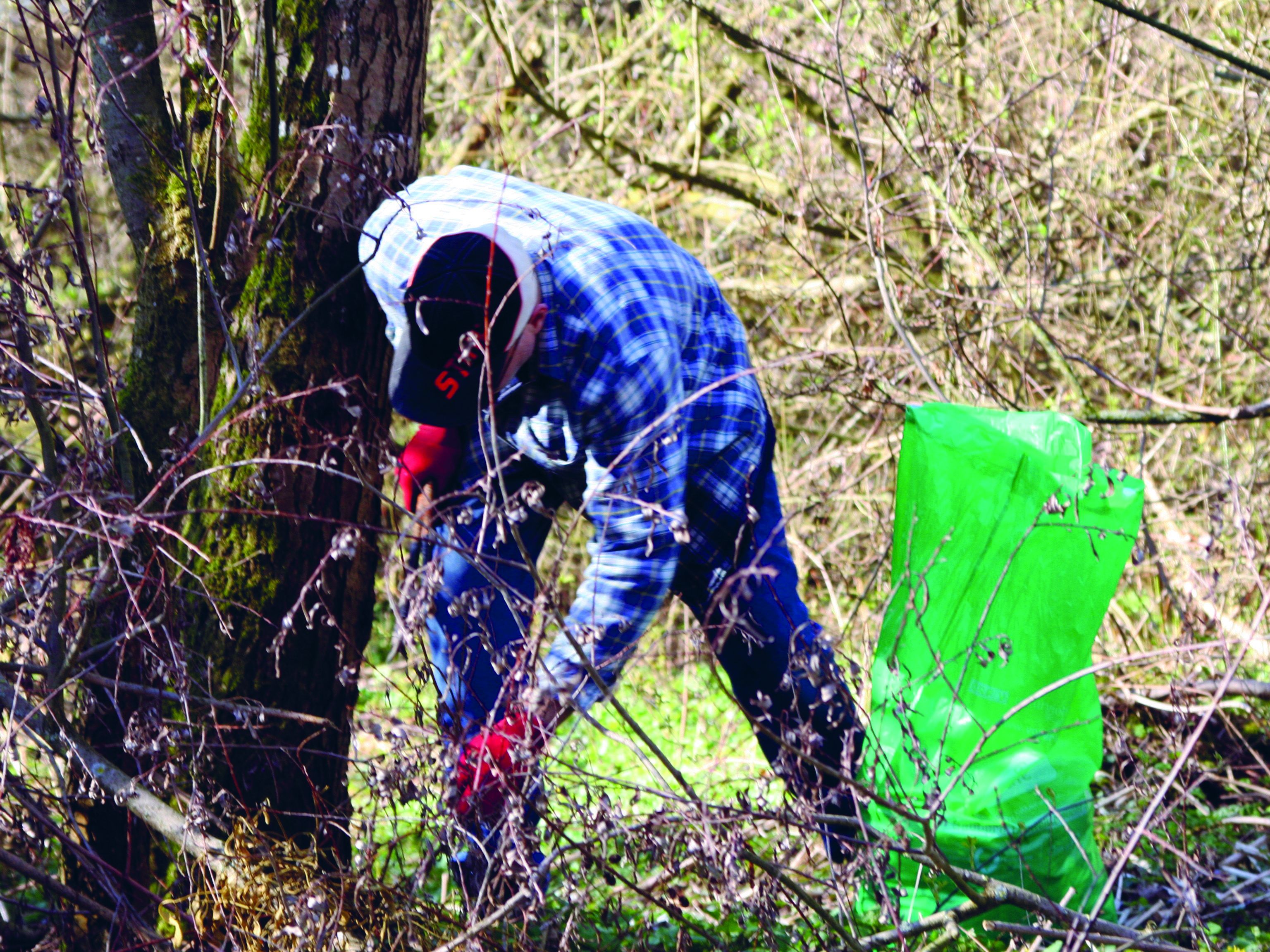 Seeuferreinigung Seeuferreinigung