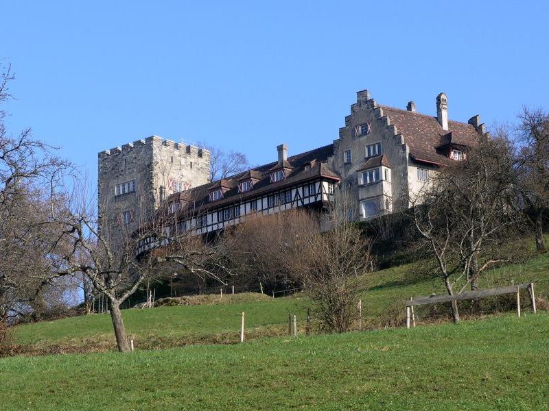 Die Gemeinde Wolfurt kauft das Schloss Wolfurt für 4,1 Millionen Euro.