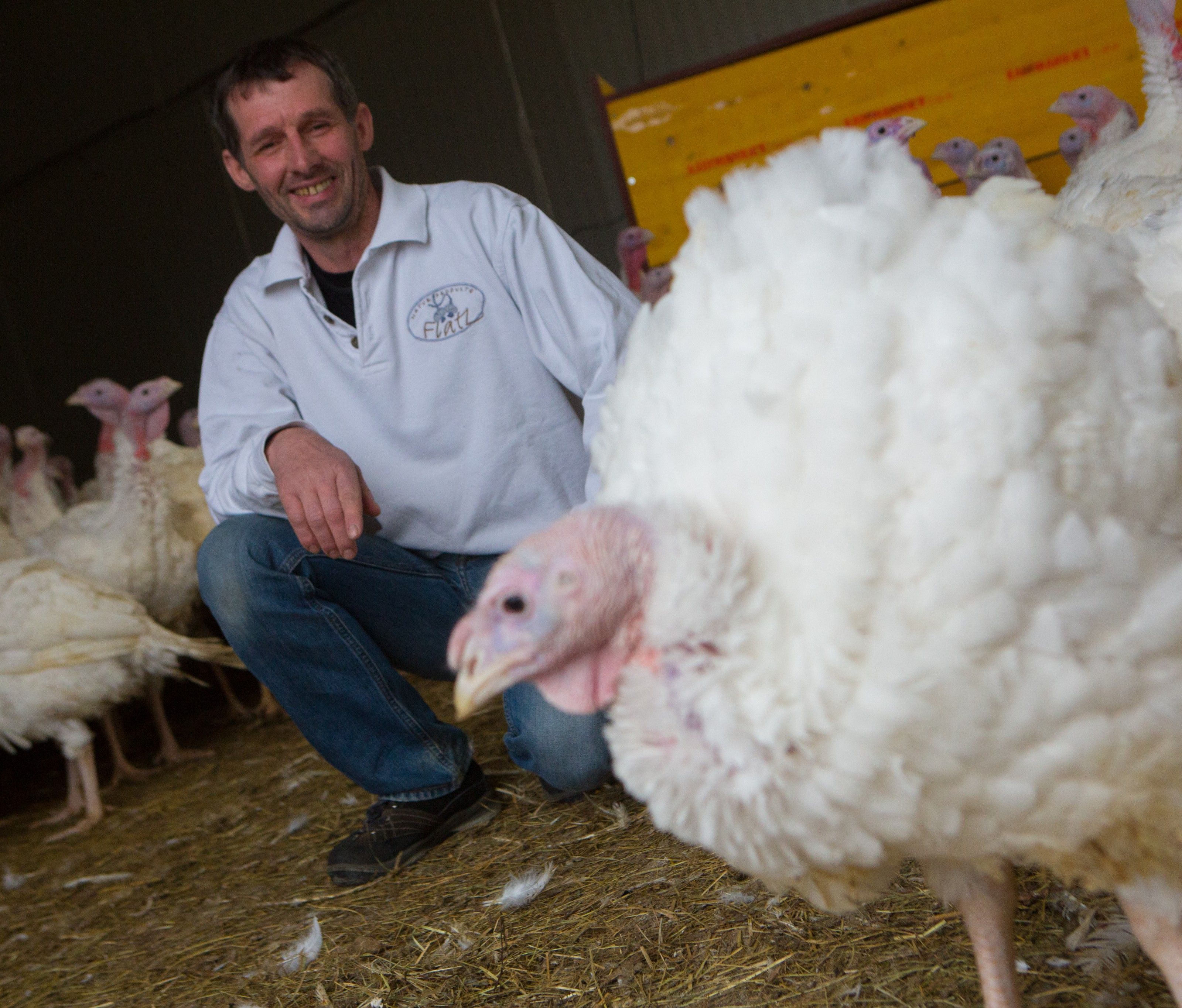 Klaus Flatz kann wieder lachen Klaus Flatz kann wieder lachen