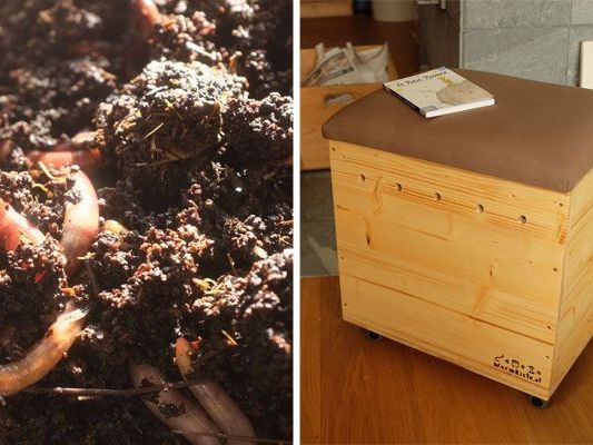 In diesen praktischen "Wurmkisten" kümmern sich lebendige Würmer um den Biomüll der Wiener In diesen praktischen "Wurmkisten" kümmern sich lebendige Würmer um den Biomüll der Wiener