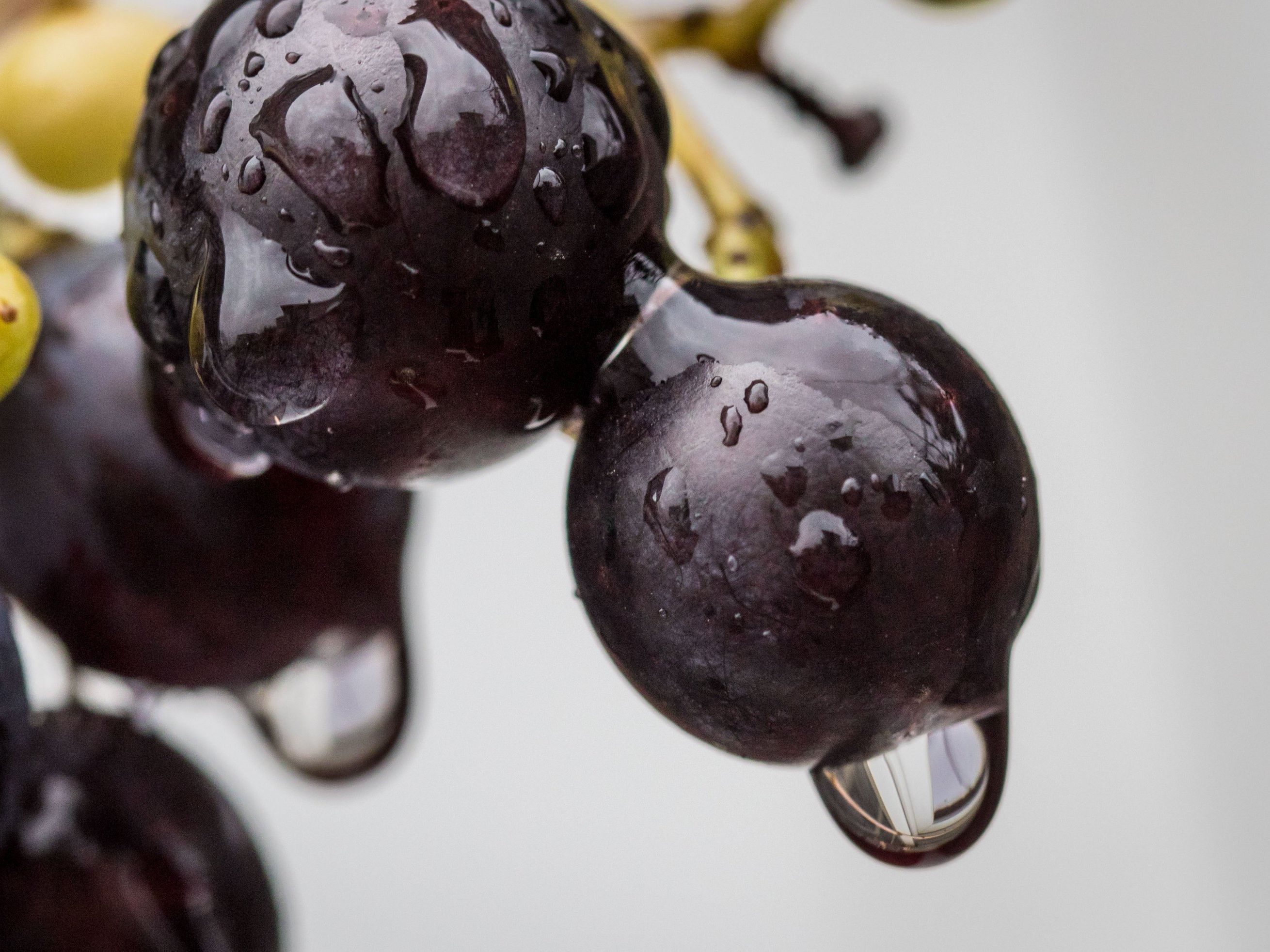 Ausnahmeregelung in Wien: Winzer dürfen Feuer machen. Ausnahmeregelung in Wien: Winzer dürfen Feuer machen.
