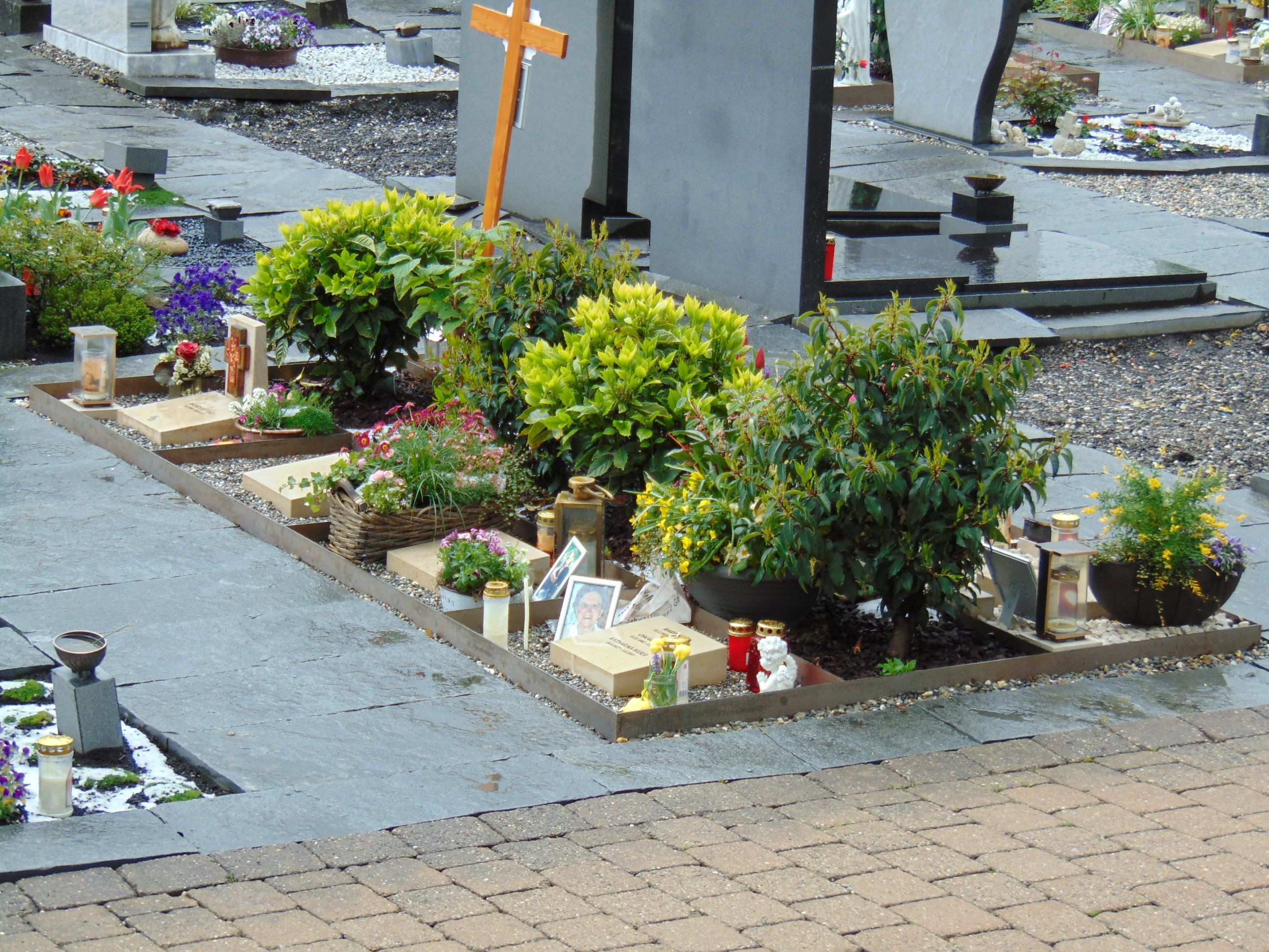 Die neuen Erdurnengräber am Altacher Ortsfriedhof Die neuen Erdurnengräber am Altacher Ortsfriedhof