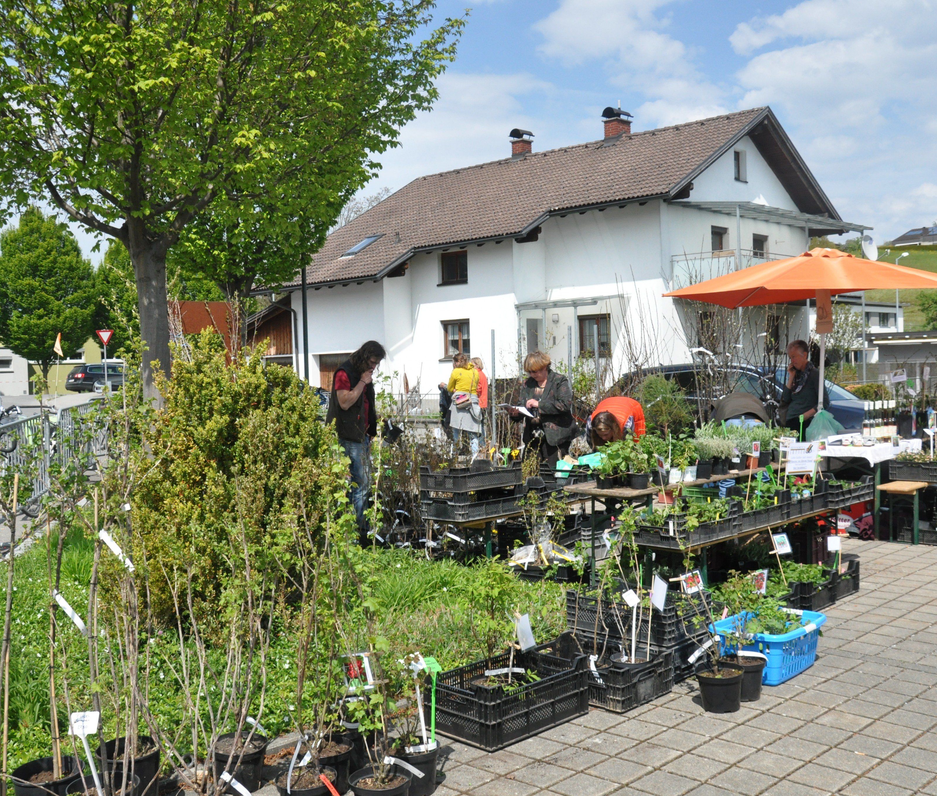 Arche Noah Markt 2016 Arche Noah Markt 2016