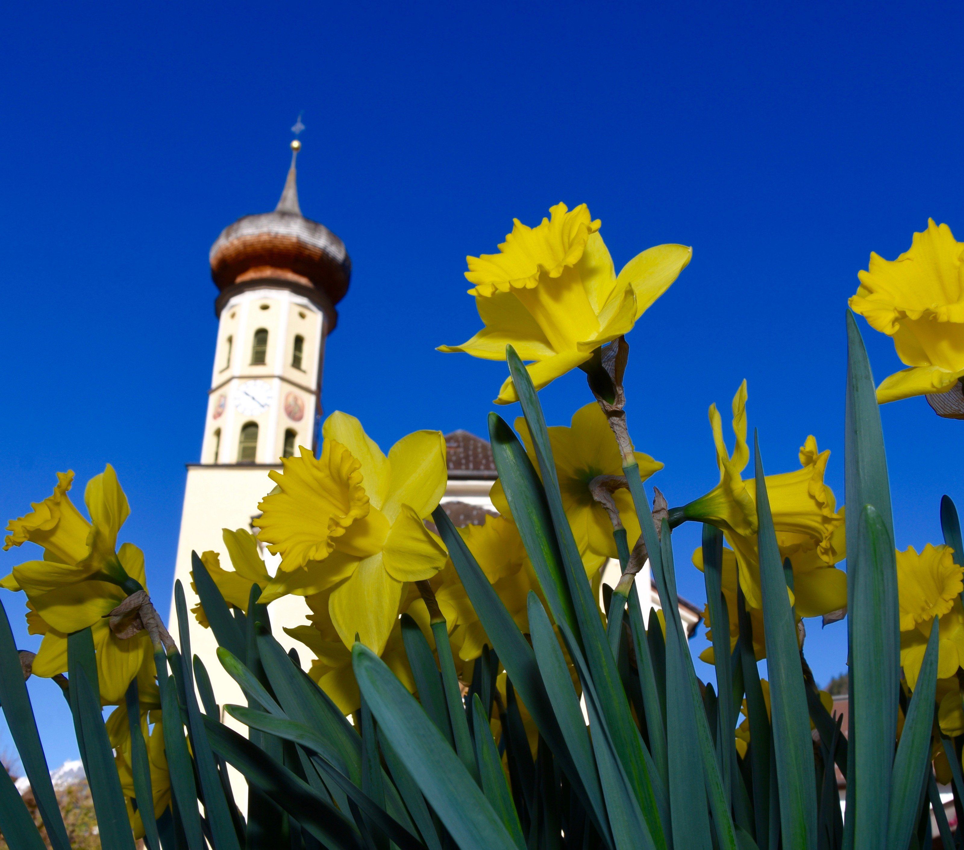 Pfarrkirche Schruns am Palmsonntag 2017 Pfarrkirche Schruns am Palmsonntag 2017