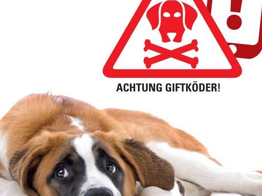 Hundebesitzer in der Donaustadt sollten Vorsicht walten lassen