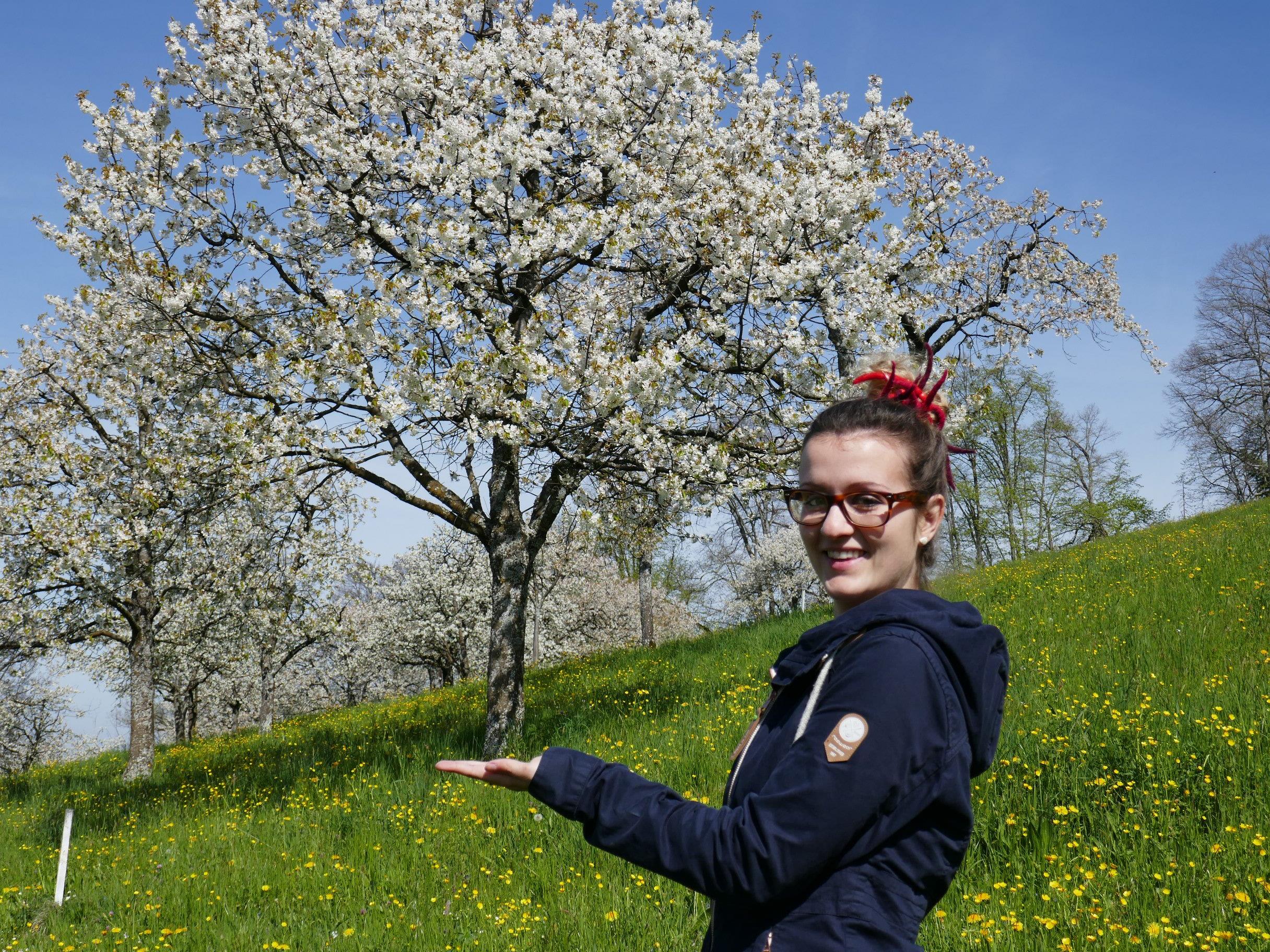 Auch Martina erfreut sich an den herrlich blühenden Kirschenbäumen.