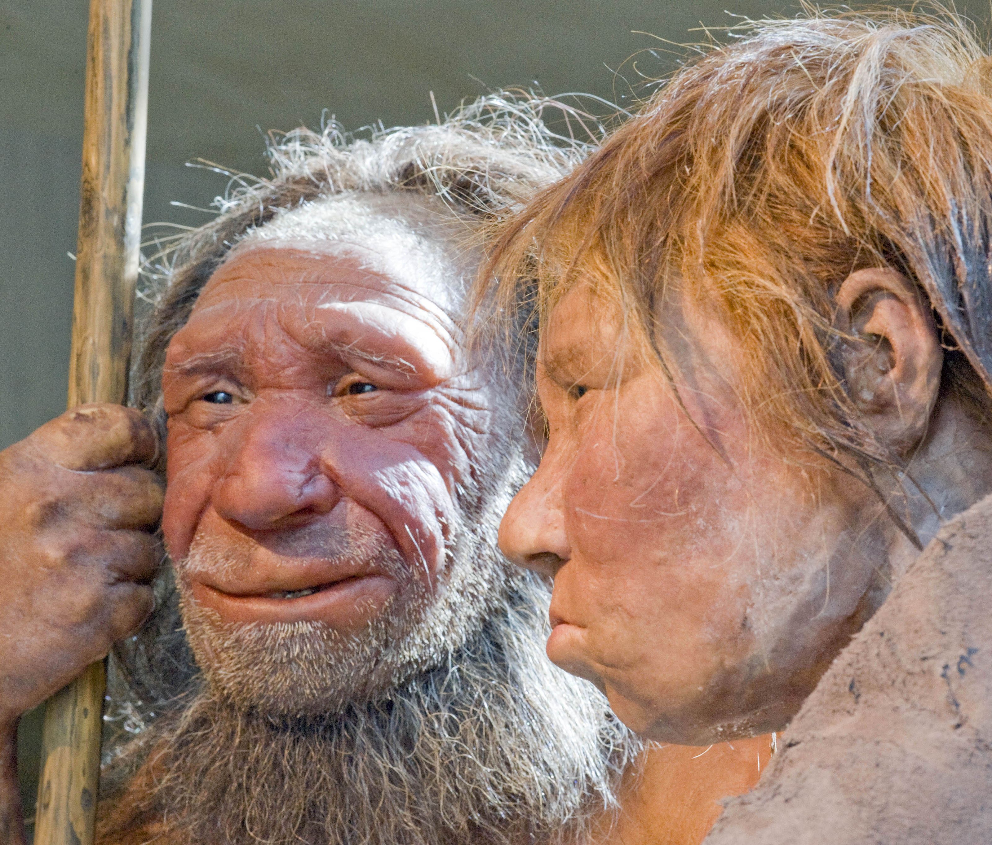 Waren Neandertaler die "ersten Amerikaner"? Waren Neandertaler die "ersten Amerikaner"?
