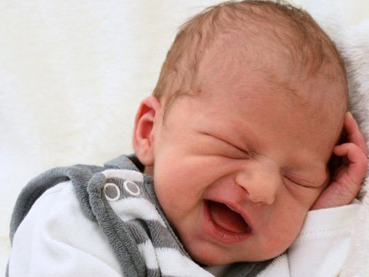 Die Vol.at - Redaktion gratuliert recht herzlich. Die Vol.at - Redaktion gratuliert recht herzlich.