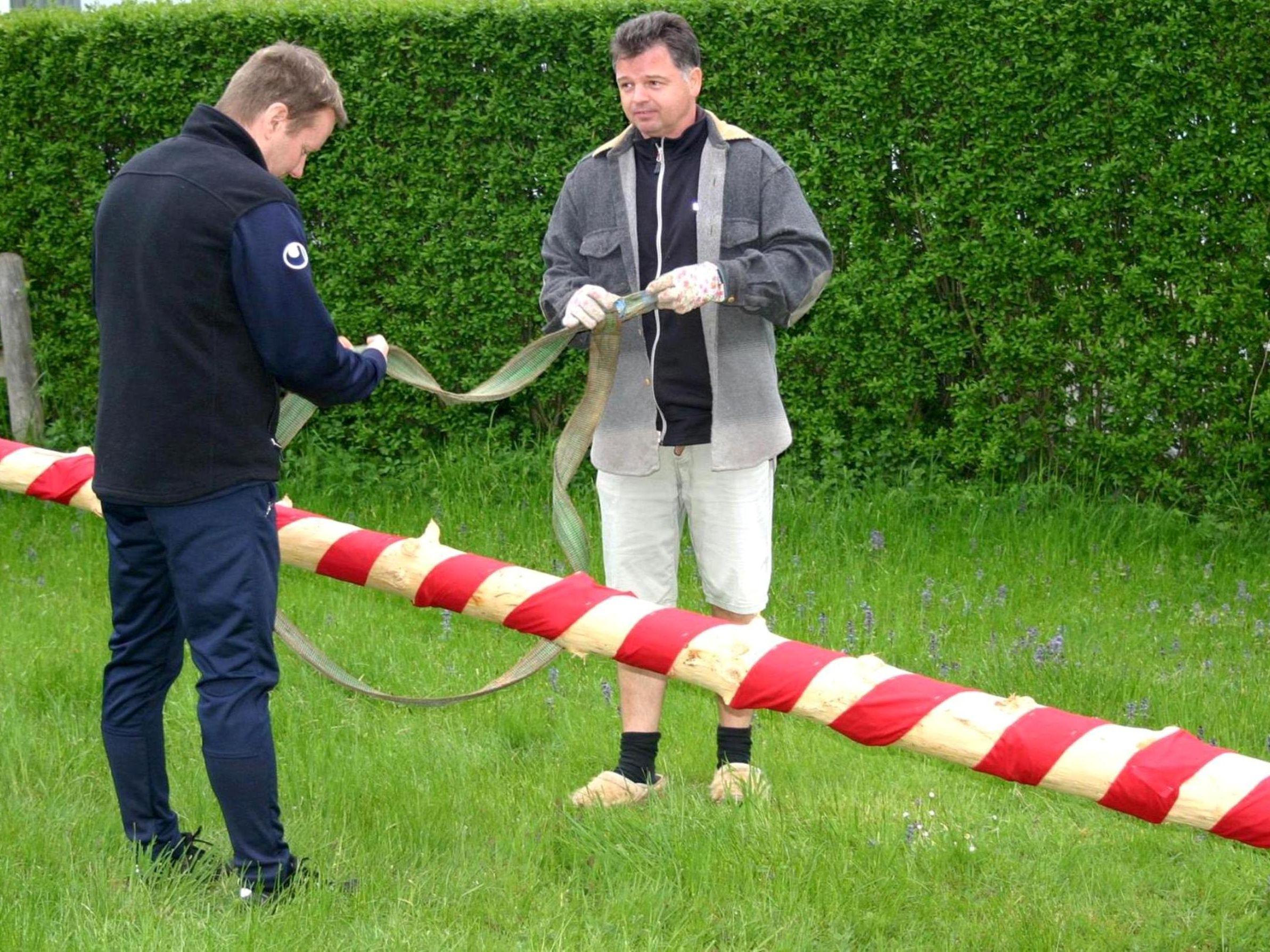 Diesmal gibt es in Schwarzach einen Maibaum extra für die Kleinsten. Diesmal gibt es in Schwarzach einen Maibaum extra für die Kleinsten.