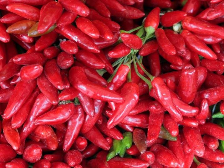Chili ist scharf und hilft beim Kalorien verbrennen.