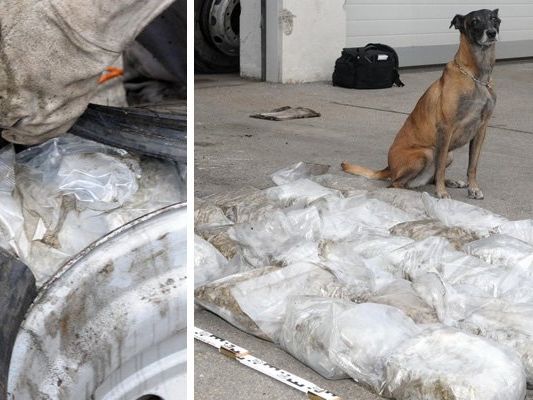 Polizeihund Frankie mit seinem Fund.