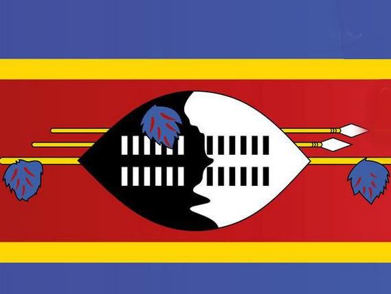 Tipp: Diese Fahne kommt aus einem kleinen Staat in Afrika.