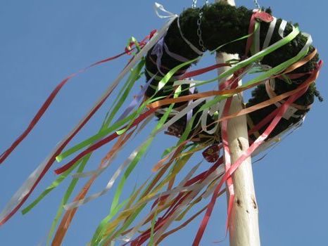 Das Hietzinger Maibaumaufstellen steht bevor. Das Hietzinger Maibaumaufstellen steht bevor.
