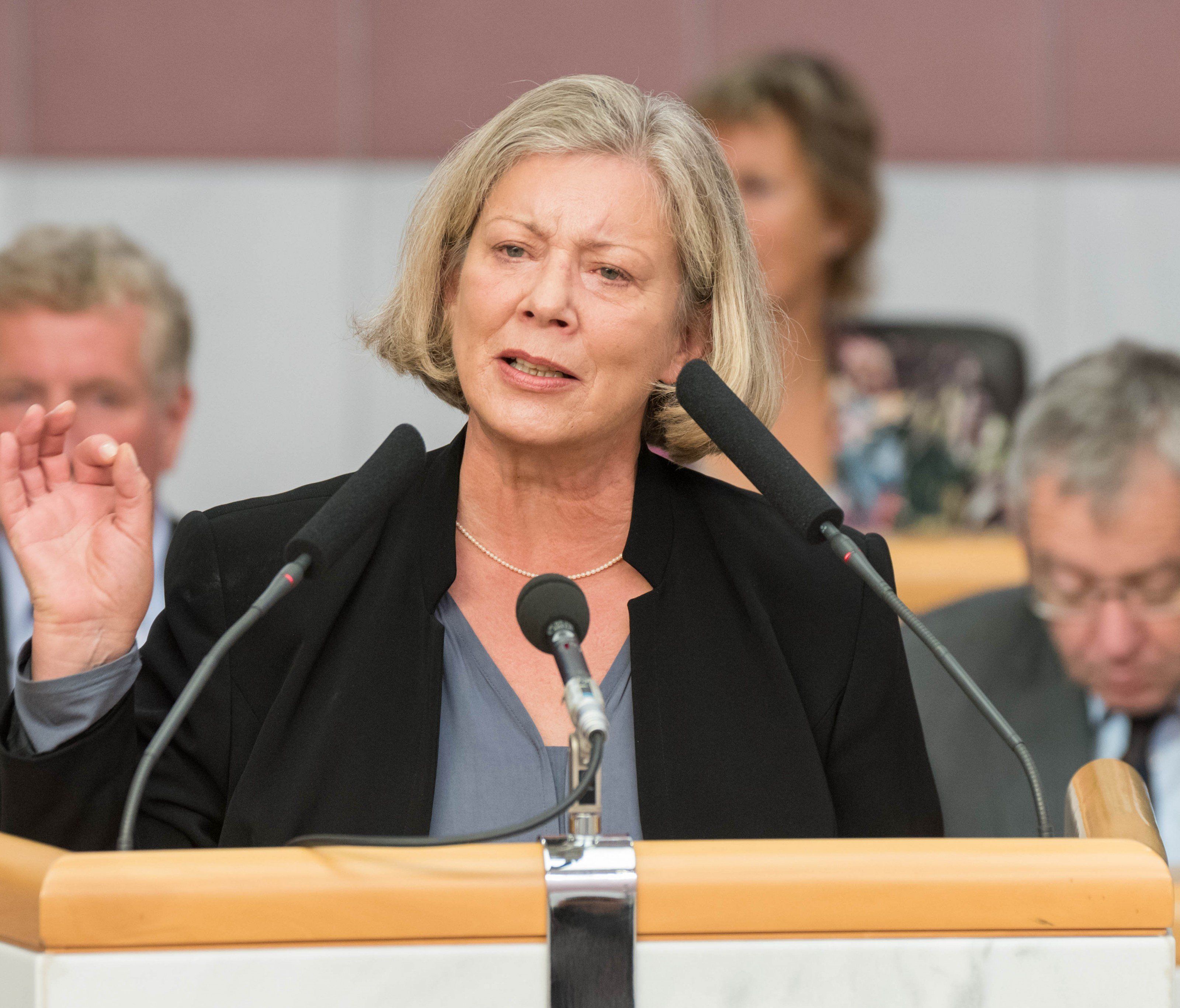 Das Abstimm-Verhalten der Auslandstürken stimme nachdenklich, so die SPÖ. Das Abstimm-Verhalten der Auslandstürken stimme nachdenklich, so die SPÖ.