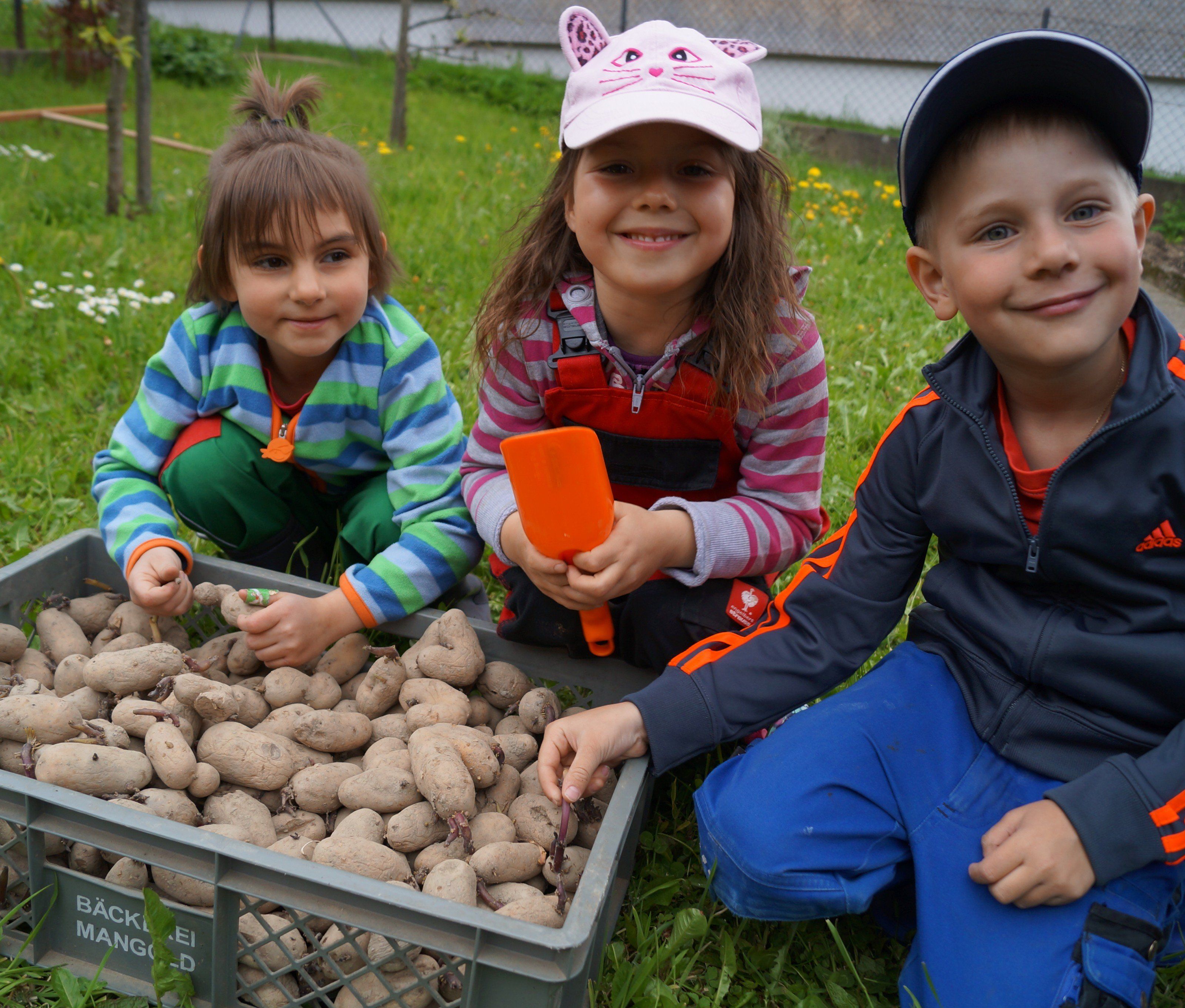 Die Kinder hatten viel Spaß beim Kartoffeln stecken mit dem Obst- und Gartenbauverein Übersaxen Die Kinder hatten viel Spaß beim Kartoffeln stecken mit dem Obst- und Gartenbauverein Übersaxen