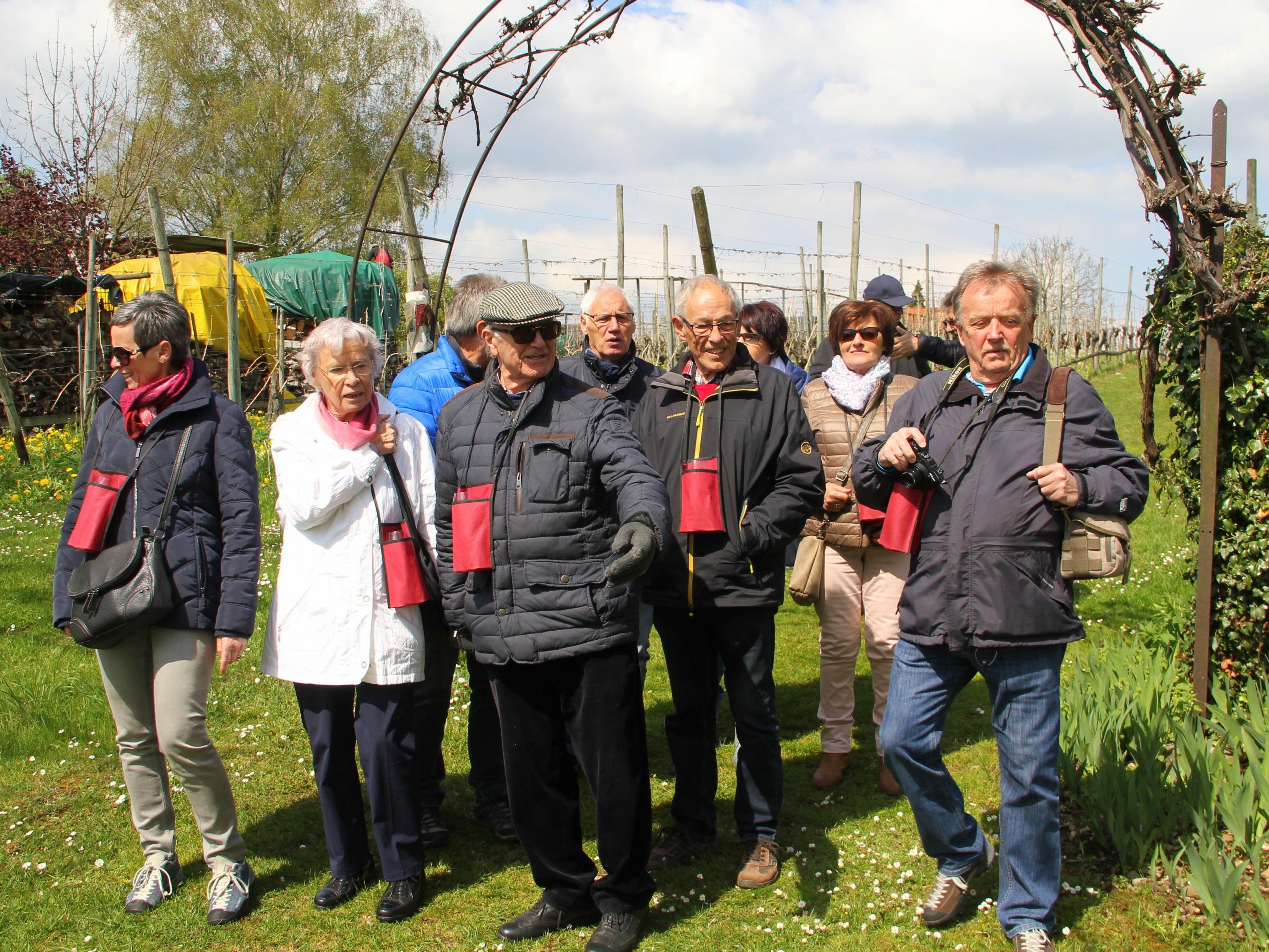 Bei der Führung durch die Rebanlagen erfuhren die Teilnehmer Interessantes über den Weinbau am Bodensee