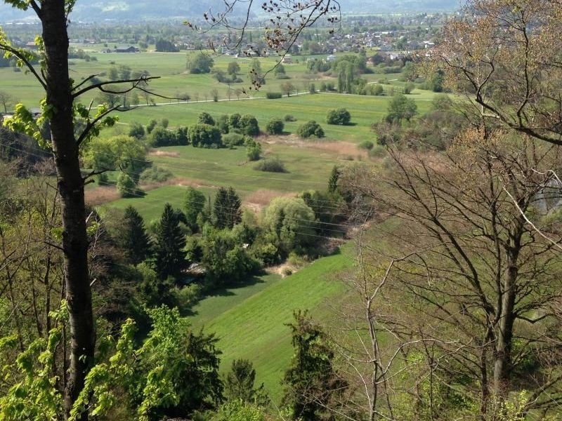 Koblacher Ried, ein eiszeitliches Juwel! Koblacher Ried, ein eiszeitliches Juwel!