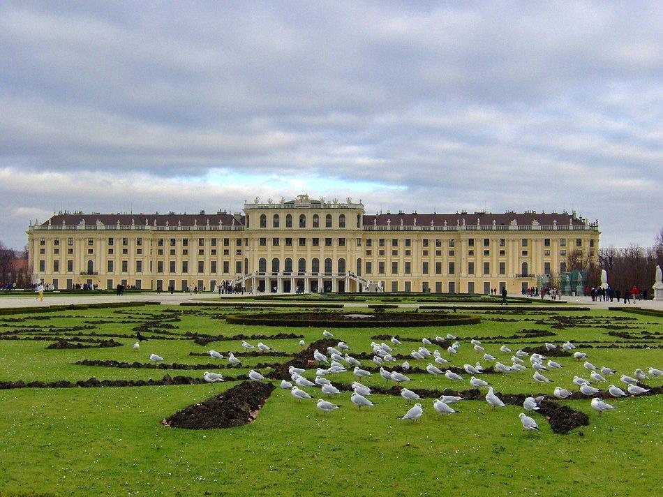 Das Schloss Schönbrunn ist Wiens Nummer 1 auf Instagram. Das Schloss Schönbrunn ist Wiens Nummer 1 auf Instagram.