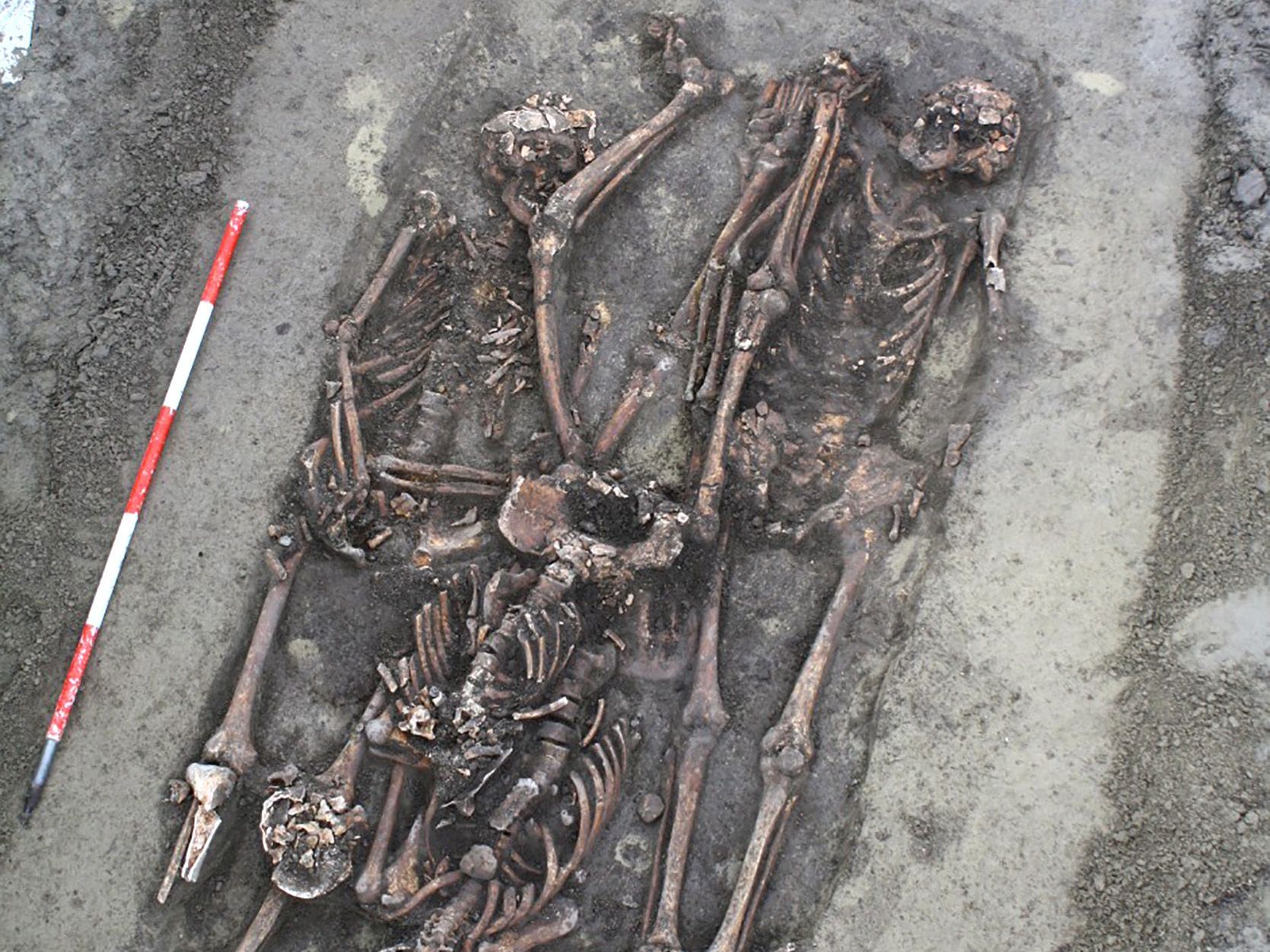 Die Wiener Stadt-Archäologie deckte Relikte der Schlacht bei Aspern auf. Die Wiener Stadt-Archäologie deckte Relikte der Schlacht bei Aspern auf.