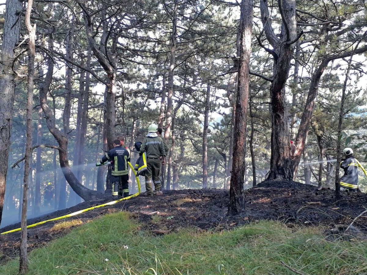 Einsatz bei einem Waldbrand bei Grillenberg im Bezirk Baden. Einsatz bei einem Waldbrand bei Grillenberg im Bezirk Baden.