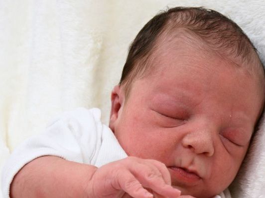 Die Vol.at - Redaktion gratuliert recht herzlich. Die Vol.at - Redaktion gratuliert recht herzlich.