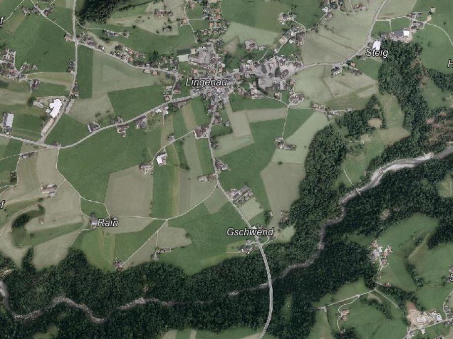 In Lingenau gerieten deutsche Urlauberkinder in eine Notlage.