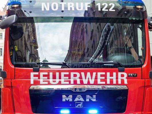 Die Feuerwehr musste den eingeklemmten Lenker befreien. Die Feuerwehr musste den eingeklemmten Lenker befreien.