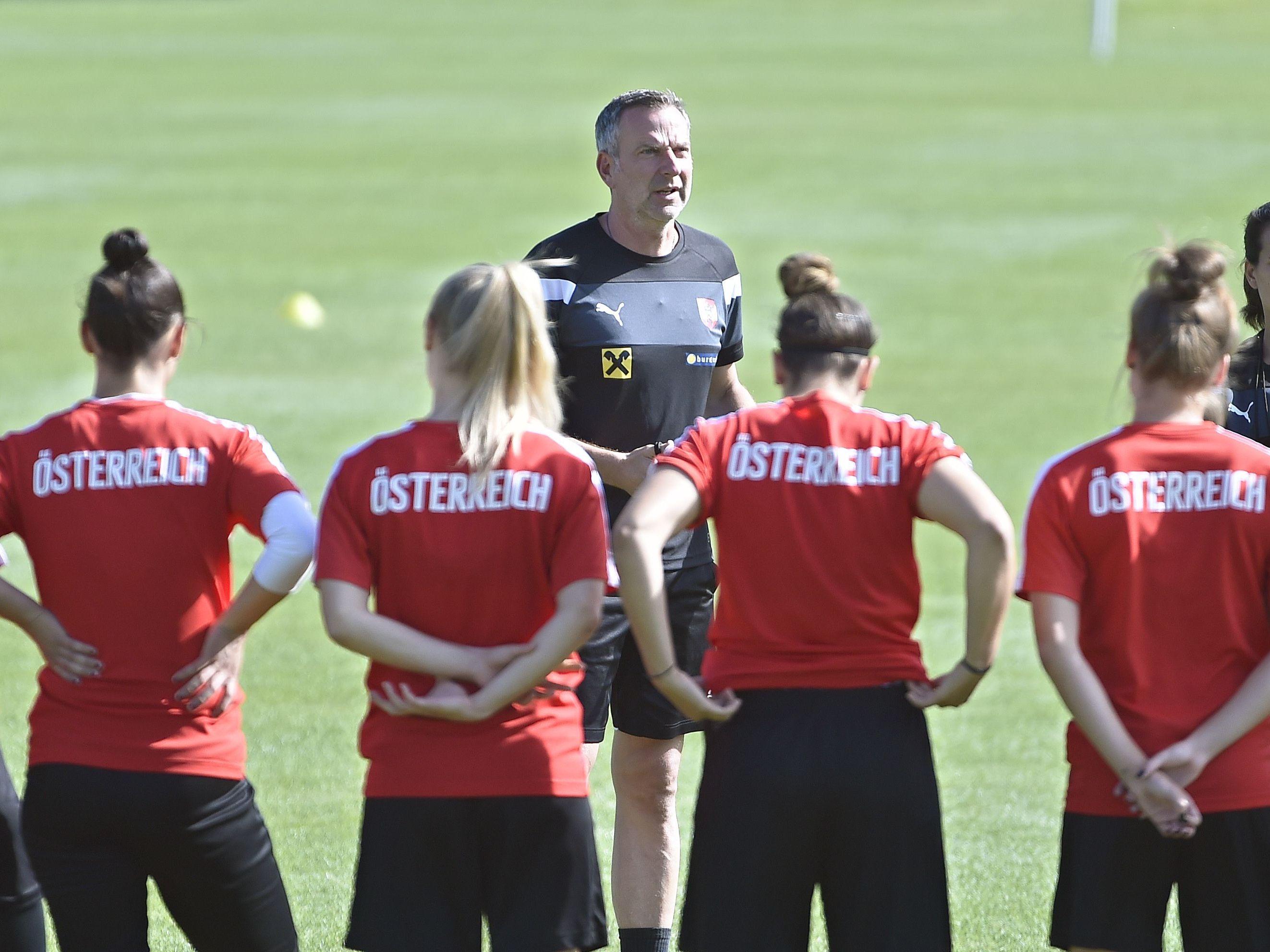 ÖFB-Teamchef Dominik Thalhammer hat seinen Kader für die Frauen-EM in den Niederlanden bestimmt. ÖFB-Teamchef Dominik Thalhammer hat seinen Kader für die Frauen-EM in den Niederlanden bestimmt.
