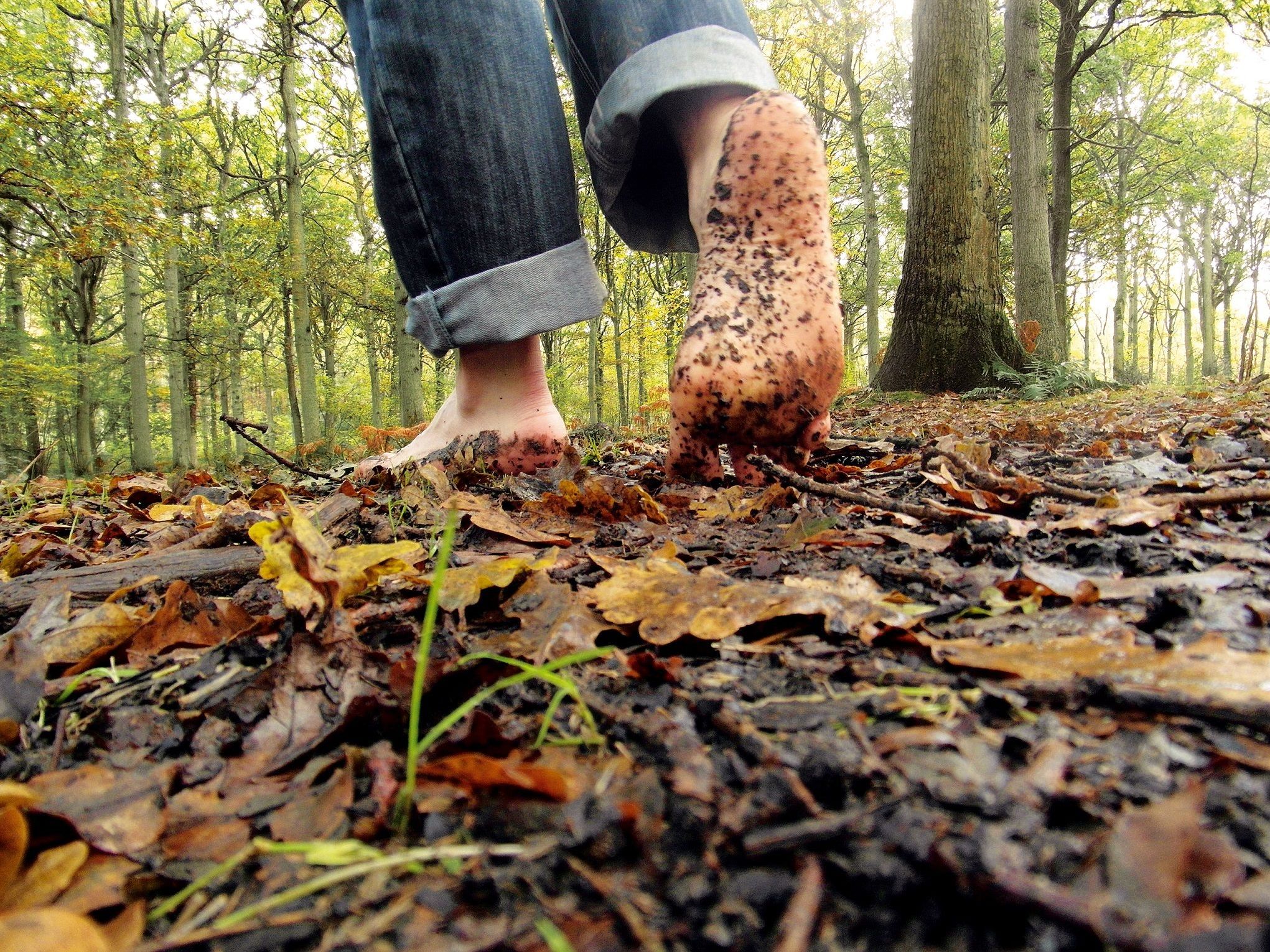 Im Barfußparcours kann man Körper und Geist etwas Gutes tun. Im Barfußparcours kann man Körper und Geist etwas Gutes tun.