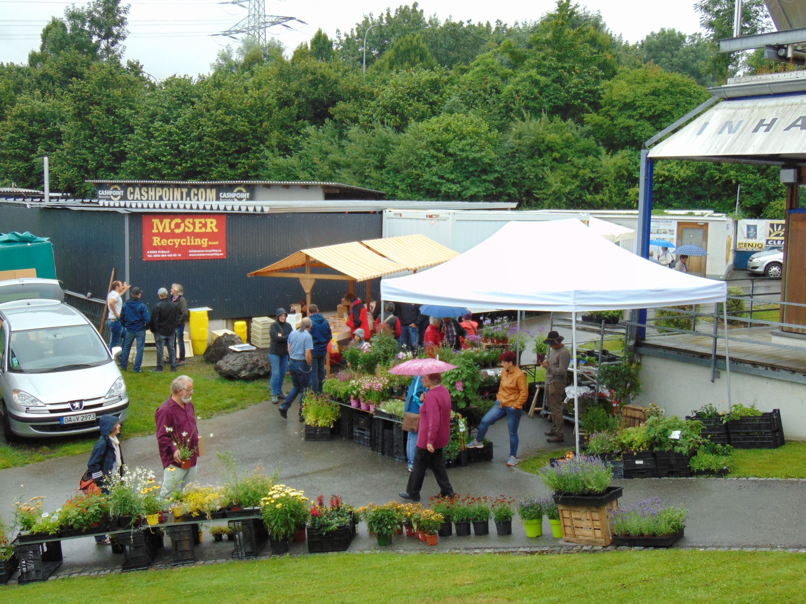 Trotz Regenwetter fanden sich wieder zahlreiche Besucher beim Bienenmarkt ein Trotz Regenwetter fanden sich wieder zahlreiche Besucher beim Bienenmarkt ein