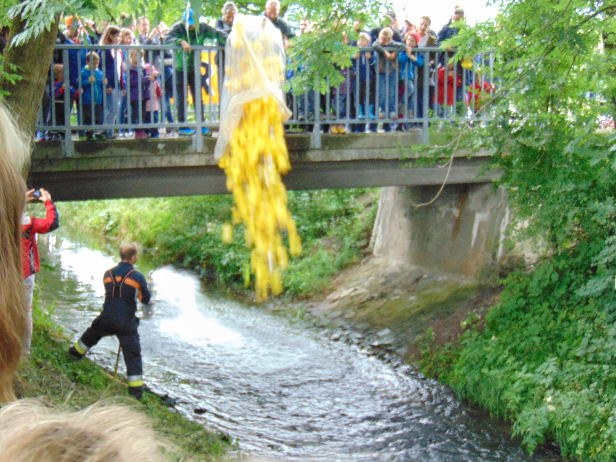 Rund 400 Enten machten sich auf den langen Weg ins Ziel