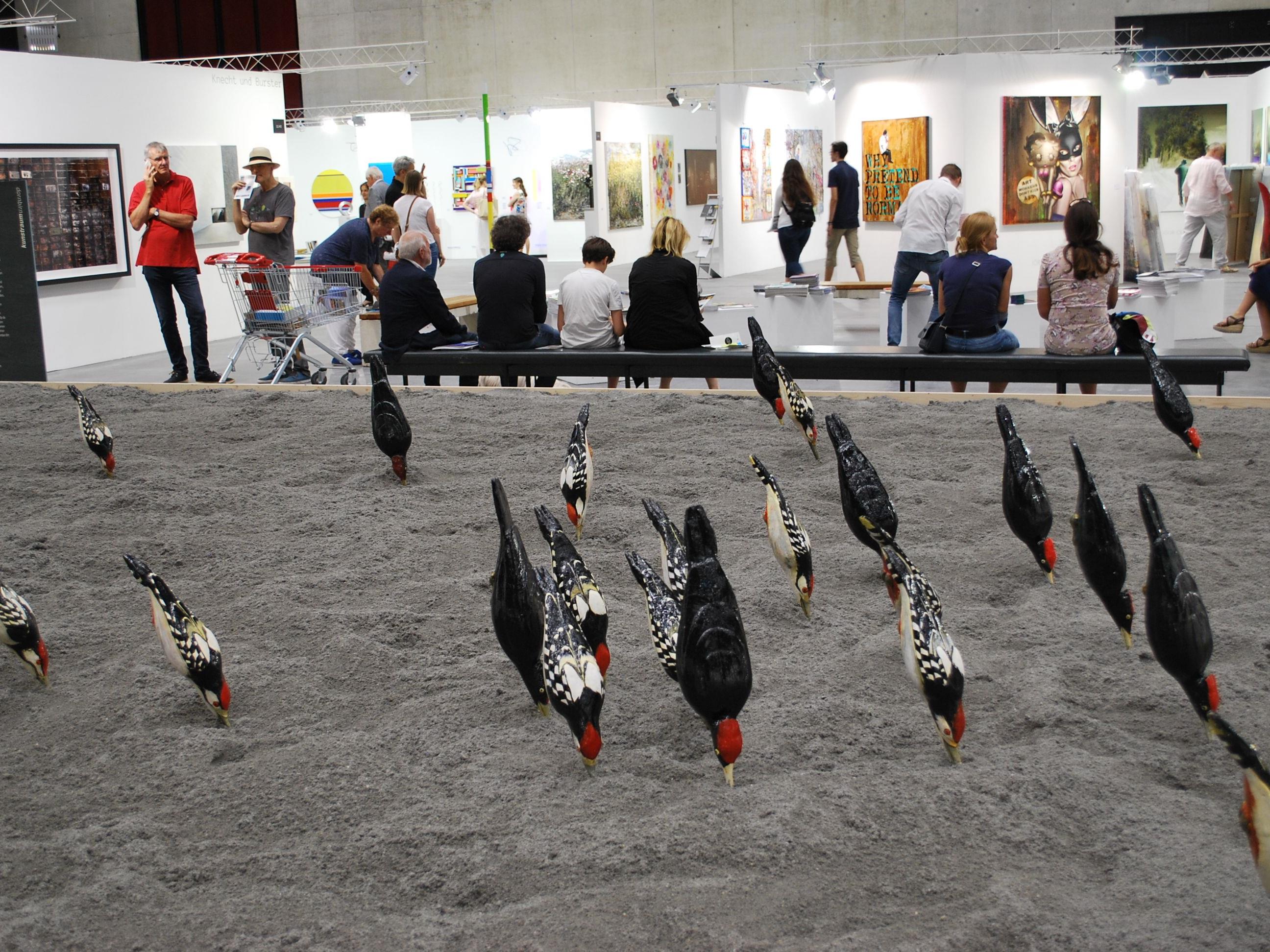 Diese Vögel werden auch bei der nächsten Ausstellung des Kunstraum Dornbirn eine Rolle spielen.