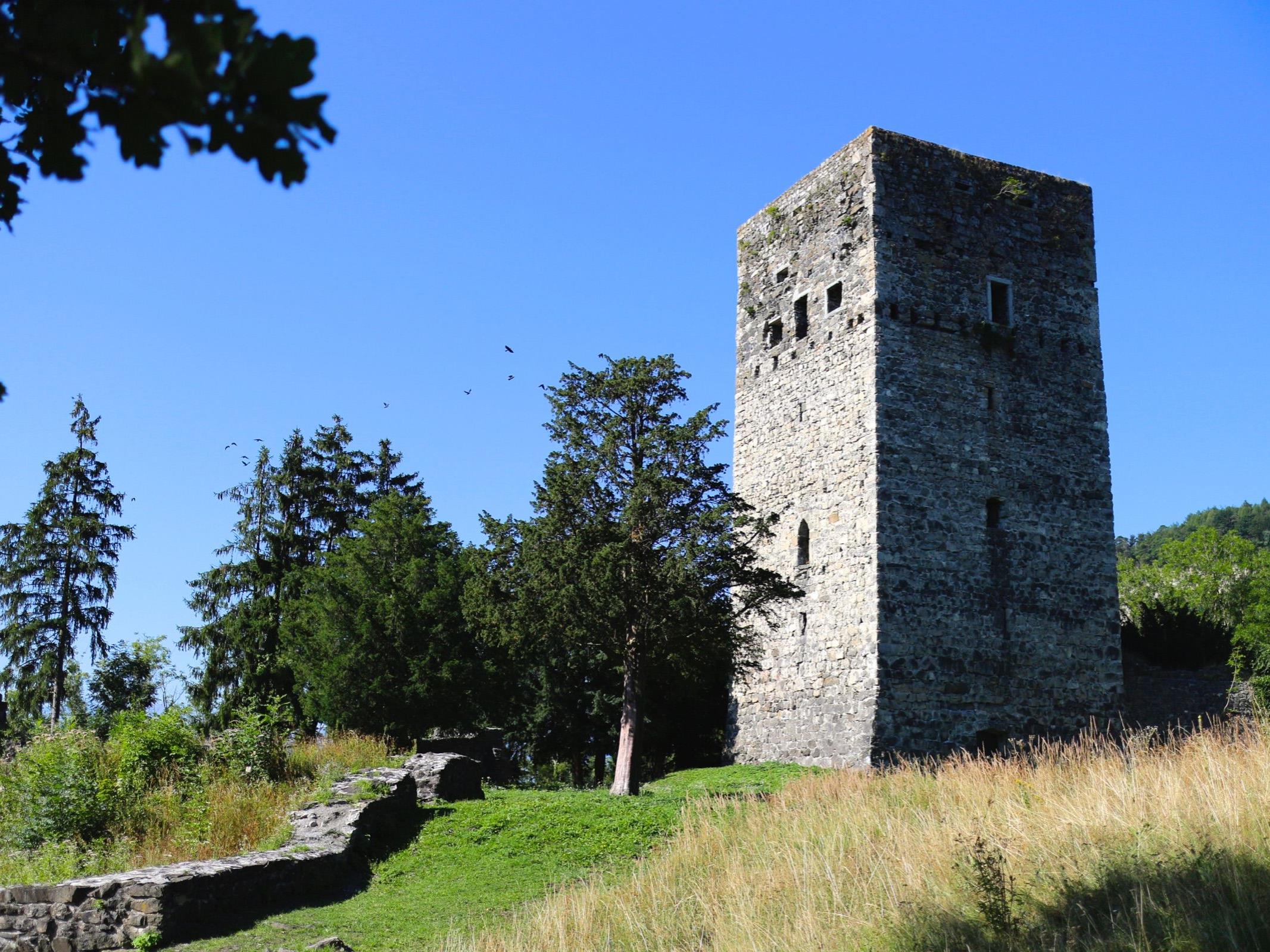 Die Tostner Burg ist zu allen Jahreszeiten ein beliebtes Ausflugsziel für Gäste und Einheimische - leider wird sie immer wieder von Vandalen heimgesucht!