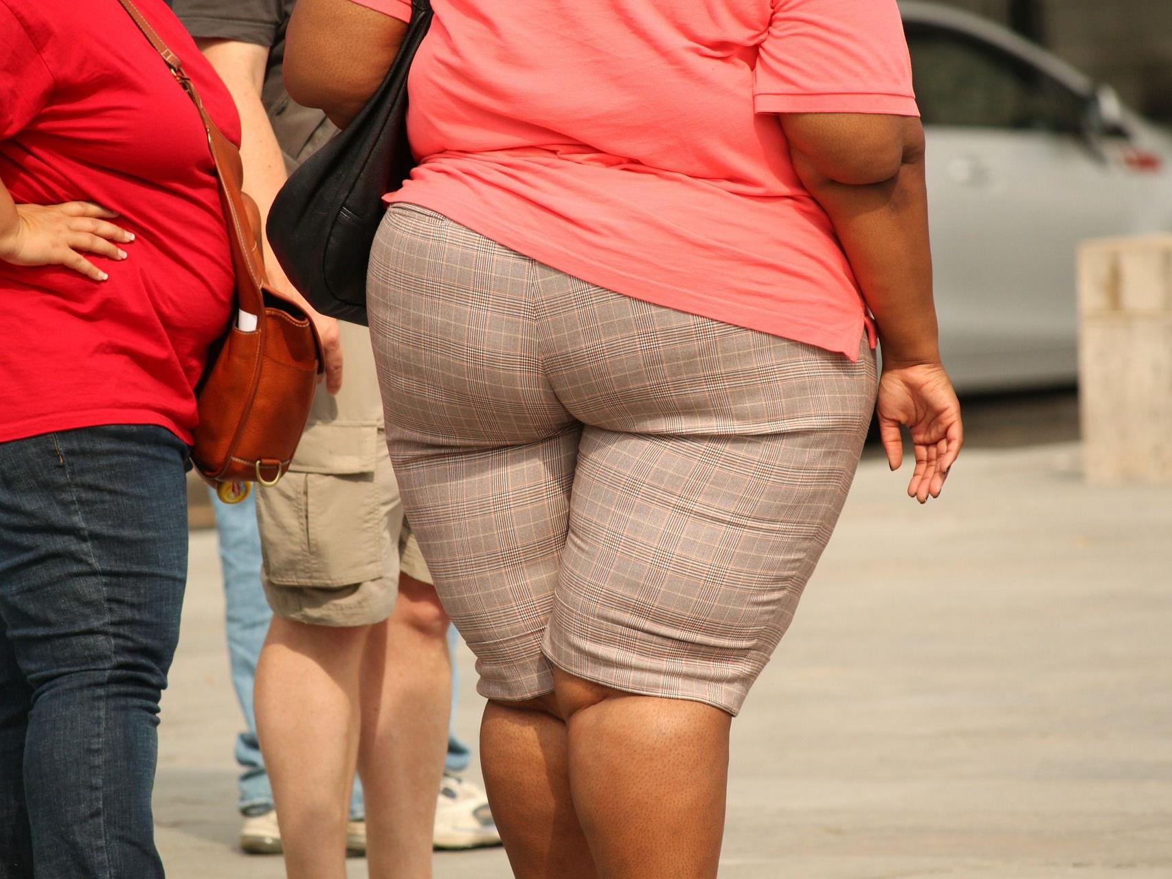 Laut Forschern macht Hausstaub übergewichtig.