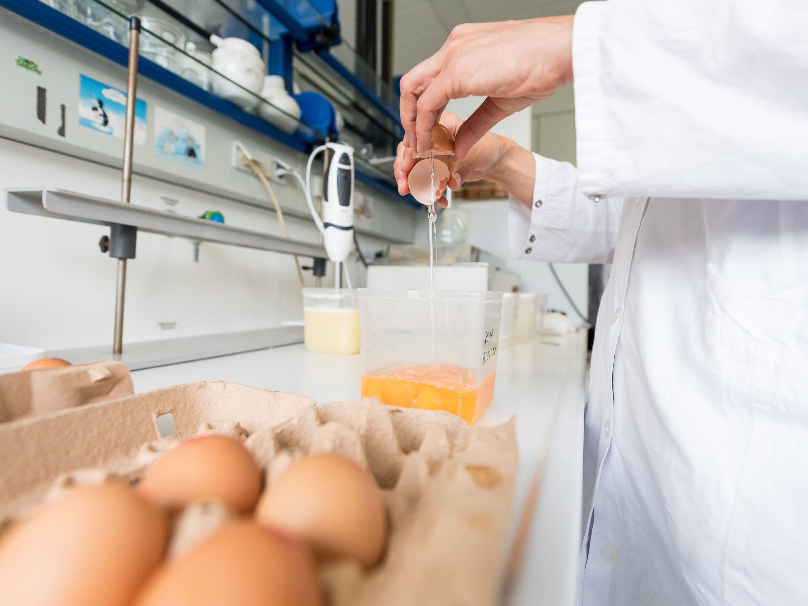 Auch in Österreich sind Eier mit Fipronil belastet. Auch in Österreich sind Eier mit Fipronil belastet.