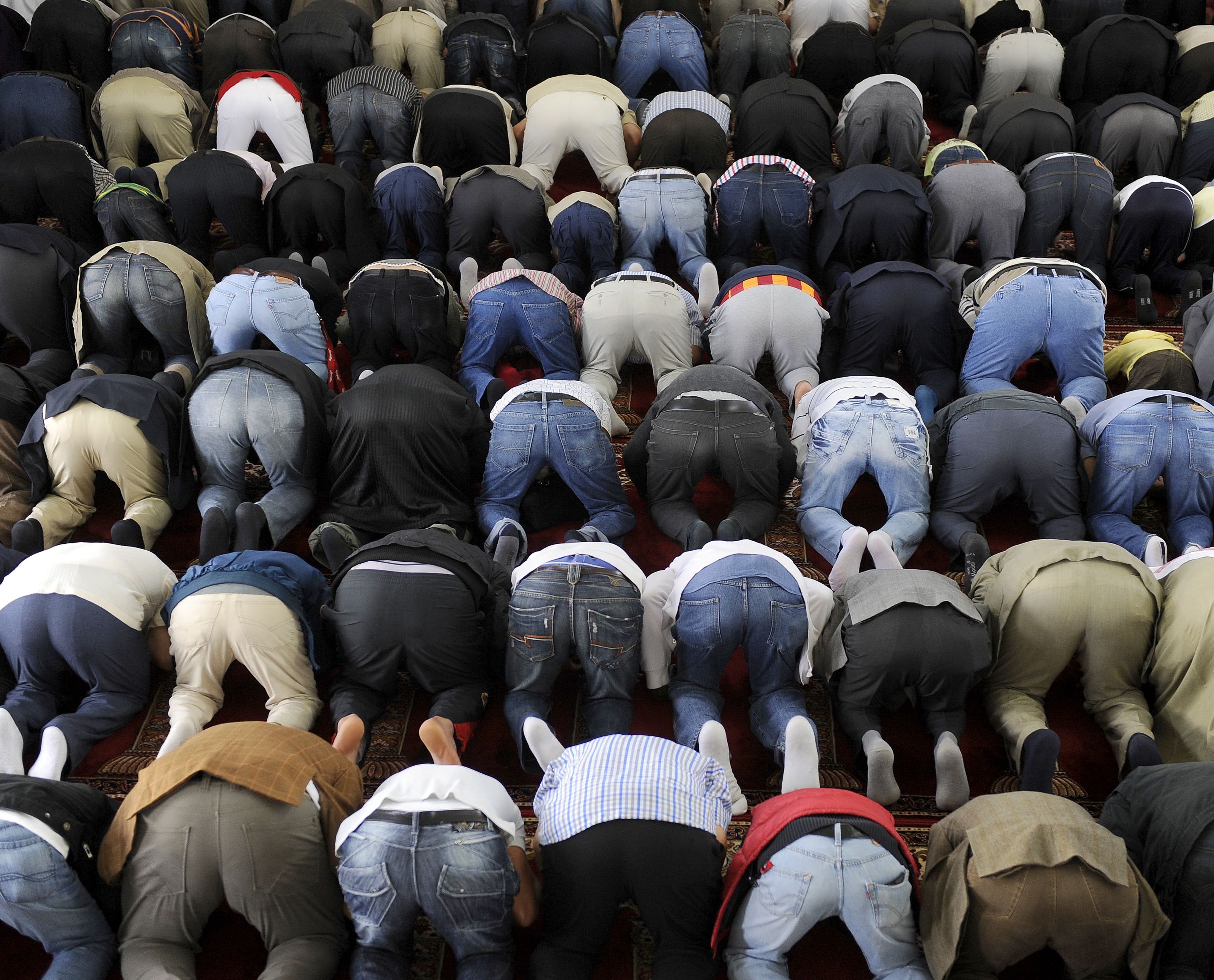 Eine Radikalisierungs-Studie von Ednan Alsan wurde vorgelegt Eine Radikalisierungs-Studie von Ednan Alsan wurde vorgelegt