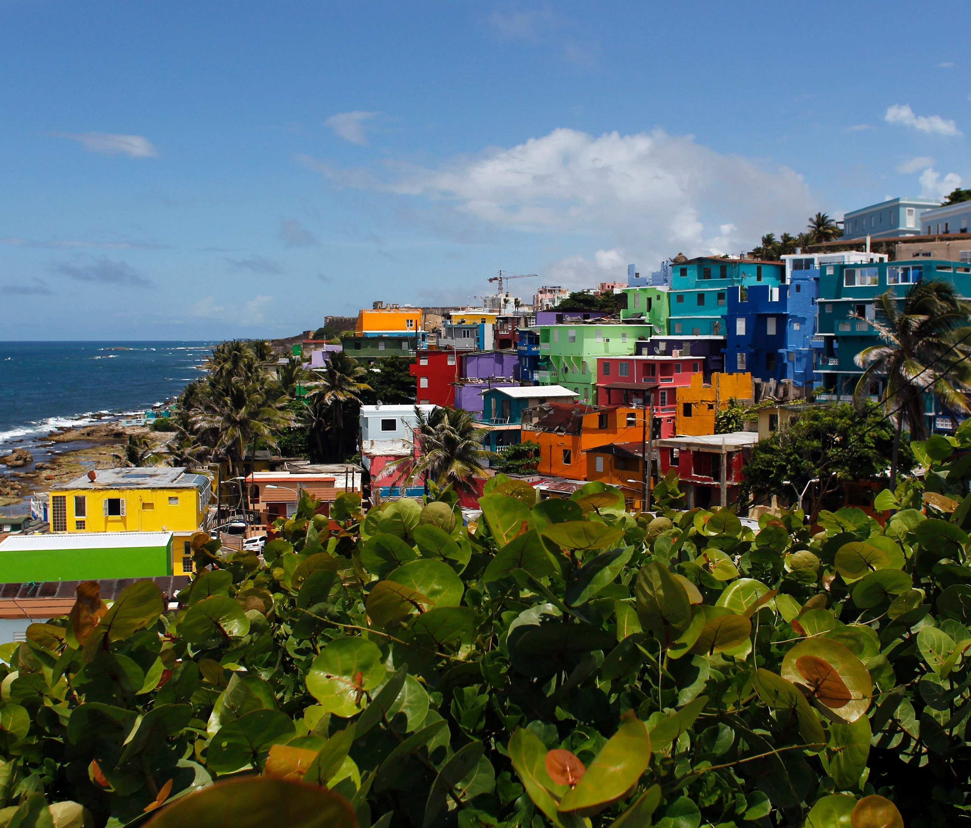 Puerto Rico will die Chance nützen. Puerto Rico will die Chance nützen.