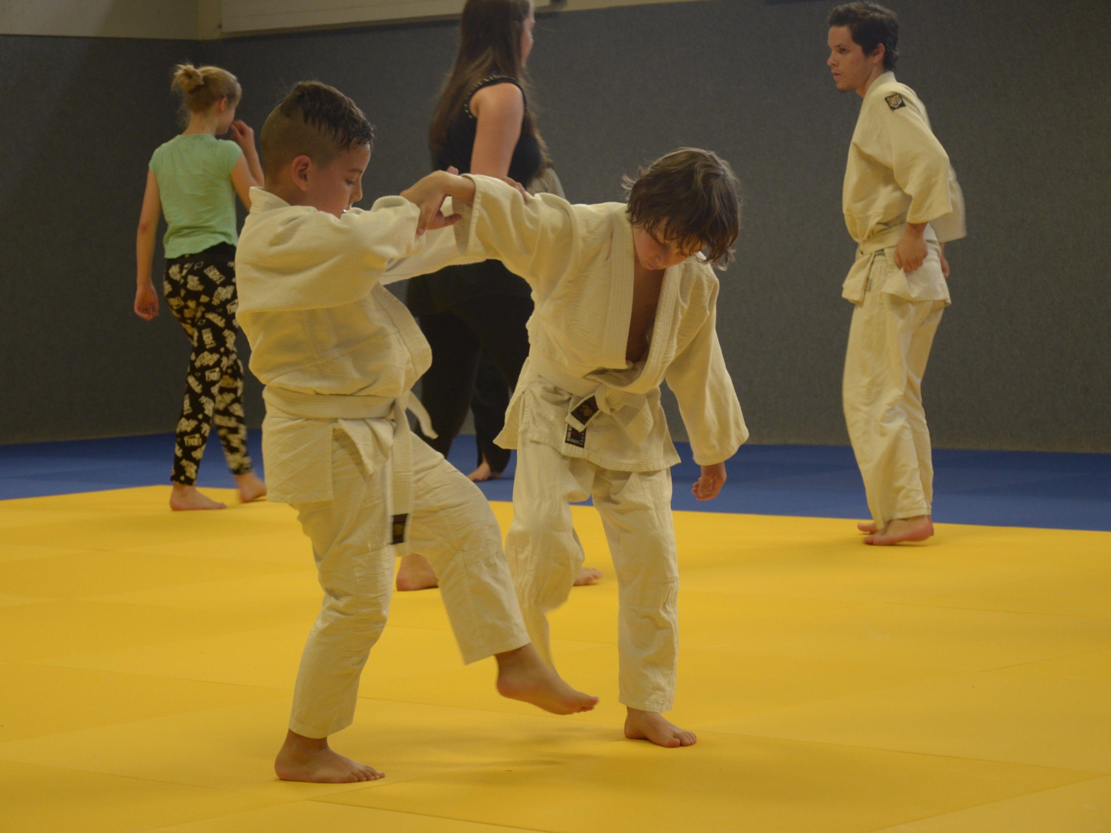 Aikido Kinder- und Jugendtraining